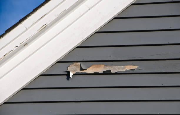 Best Fascia and Soffit Installation  in Morgantown, MS